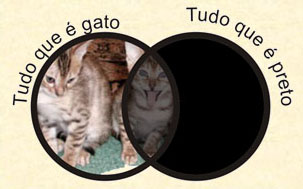 coisas que so gato e coisas que so preto