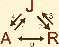 relao jurdica processual