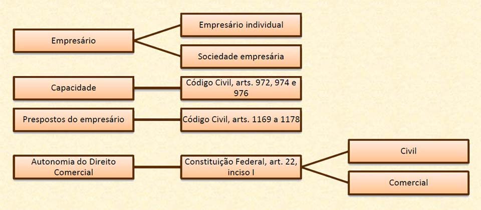 Esquema de Direito Empresarial de 07/08/09